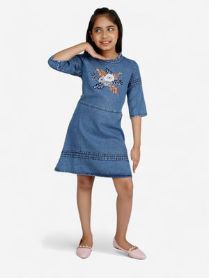 Girls Denim Embroidered Fit & Flare Dress_Blue